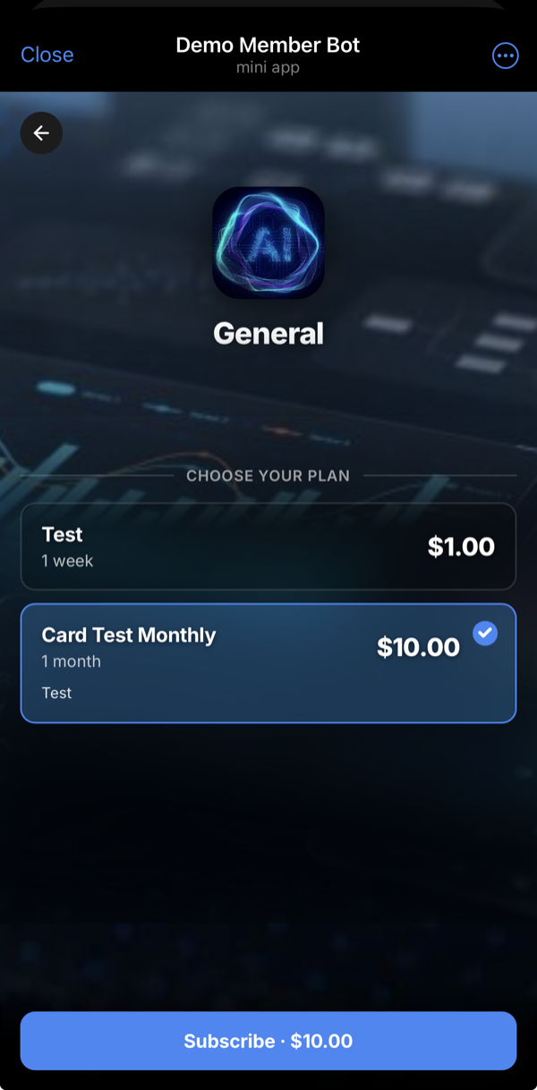 Mini App — choosing a plan and subscribing.